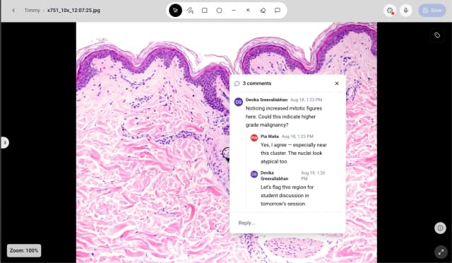 Discuss Findings In-Context